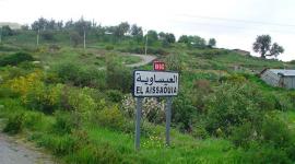 العيساوية 