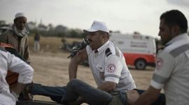 الهسي11