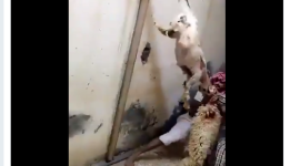 عيد الأضحى المبارك.PNG