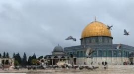 امطار في المسجد الاقصى.JPG