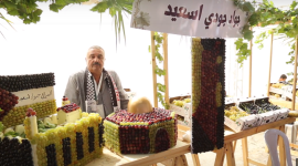 صورة من مهرجان العنب الفلسطيني