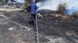 حريق1
