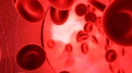 Thalassemia
