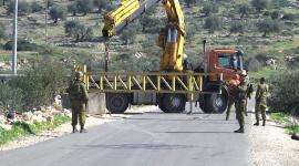 ارشيفية