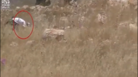 صورة من الفيديو