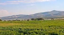 الاغوار الشمالية