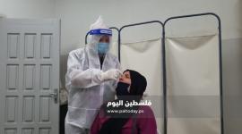 فحص كورونا 