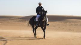 الوليد بن طلال