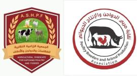 في غزة: الاتفاق على تحديد سعر الدواجن في الأسواق