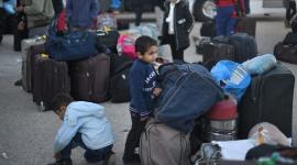 فتح معبر رفح (3)