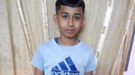 محمود البيطار
