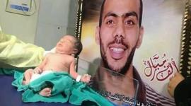 صورة الطفل مجاهد
