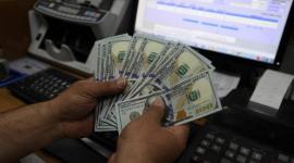 رابط فحص 100 دولار شهر 8 2019