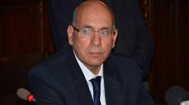 وزير الزراعة المصري