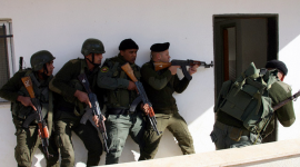 ارشيفية