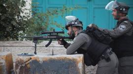 ارشيفية