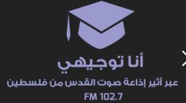 انا توجيهي