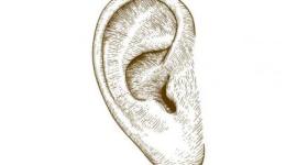 الاذن