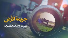 الشهيد محمد الناعم