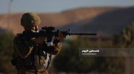 ارشيفية