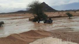 سيول