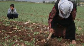 المرأة الفلسطينية