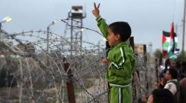 فلسطين