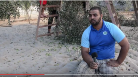 لؤي النجار