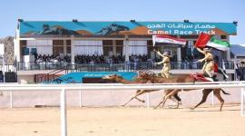 نواق