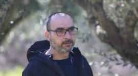 عنان نجيب