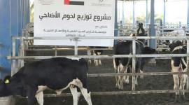 اضاحي