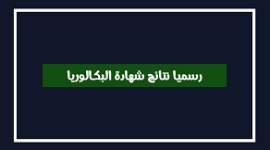 رسميا الان نتائج البكالوريا 2019 الجزائر - نتائج الباك 2019