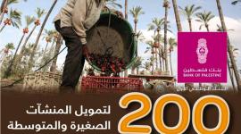 بنك فلسطين