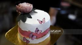 زوجان يصنعان الكيكة (17)