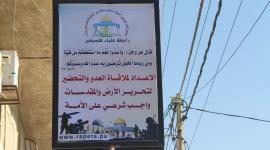 جانب من البوسترات
