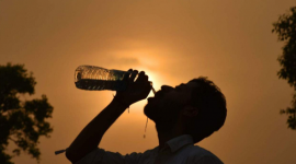 لماذا تقتل موجات الحر بسرعة؟