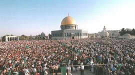 صورة من الأرشيف