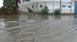 صورة توضيحية