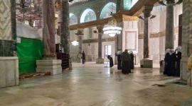 سجاد الأقصى