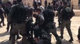 اعتقالات 
