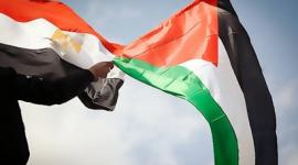مصر-و-فلسطين