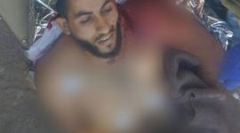 شهيد