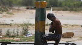 صورة من الأرشيف