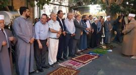 أرشيفية