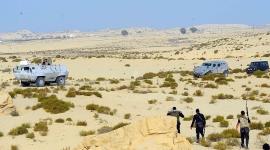 سيناء