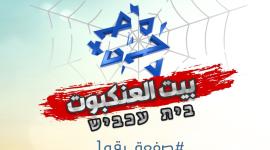 بيت العنكبوت