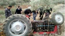 صورة من الأرشيف
