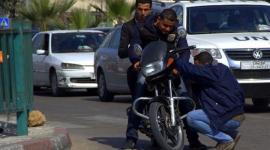 ارشيفية