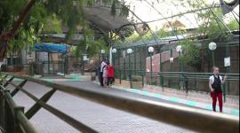 حديقة حيوان