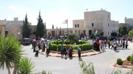 الجامعات 